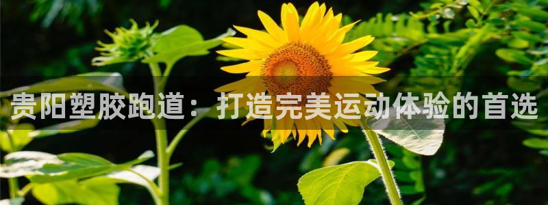 怎样能成为尊龙凯时平台的会员