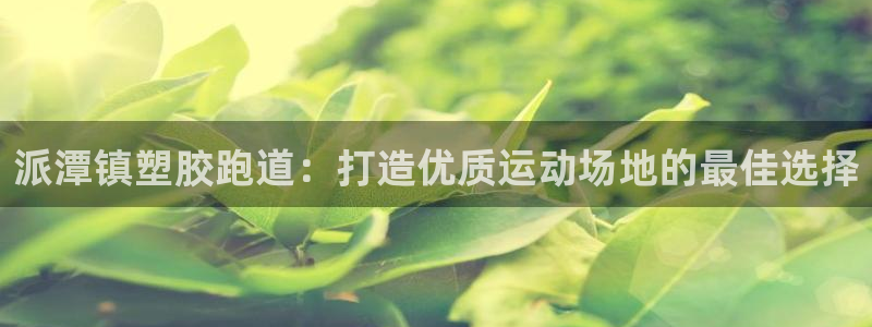 凯时kb88官网网址：派潭镇塑胶跑道：打造优质运动场