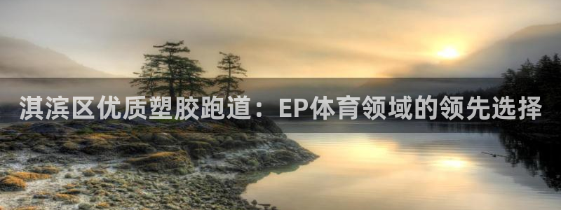 尊龙负面新闻：淇滨区优质塑胶跑道：EP体育领域的领先选择