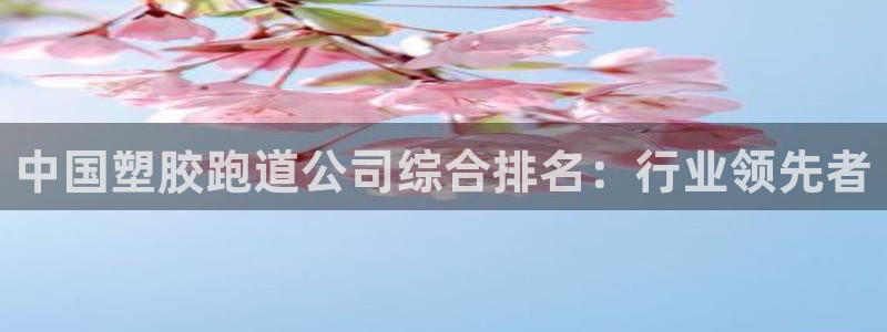 尊龙凯时人生就是搏官：中国塑胶跑道公司综合排名：行业领先者