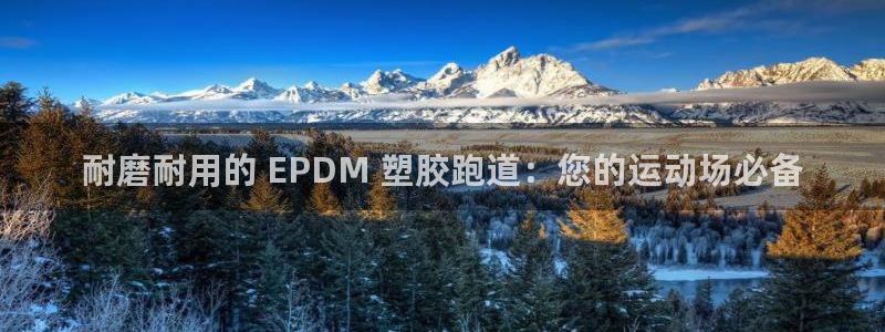 尊龙网页：耐磨耐用的 EPDM 塑胶跑道：您的运动场必备
