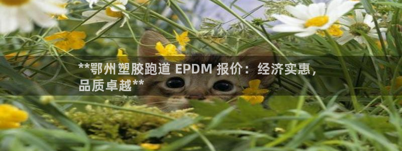 尊龙凯时 - 人生就是搏有假吗：**鄂州塑胶跑道 EPDM 报价：经济实惠，
品质卓越**