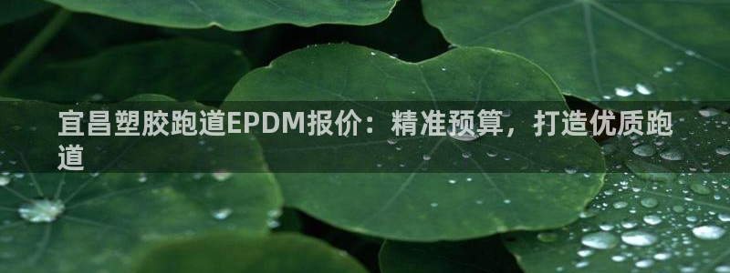 尊龙app下载官网：宜昌塑胶跑道EPDM报价：精准预算，打造优质跑
道