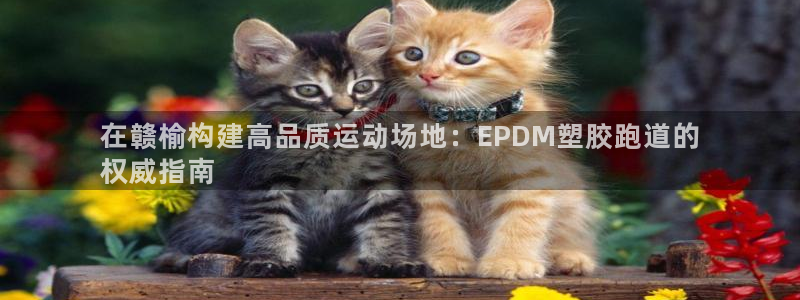 尊龙凯时防屏蔽网址：在赣榆构建高品质运动场地：EPDM塑胶跑道的
权威指南