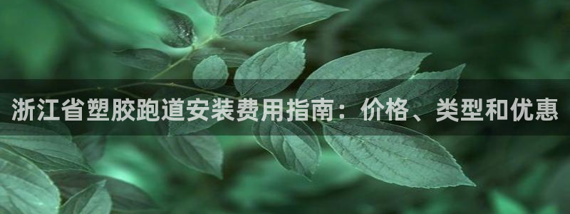 尊龙游戏中心：浙江省塑胶跑道安装费用指南：价格、类型和优惠