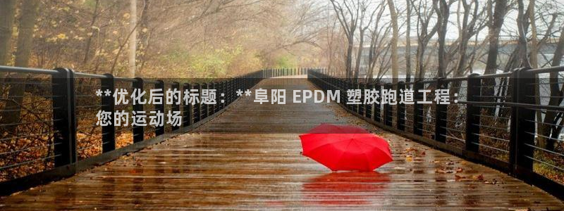 尊龙平台登录：**优化后的标题：**阜阳 EPDM 